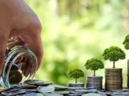 Tax Saving FDs