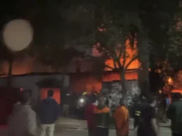 Maharashtra News