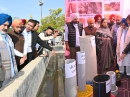 punjab news