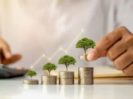 Investment Schemes 2024