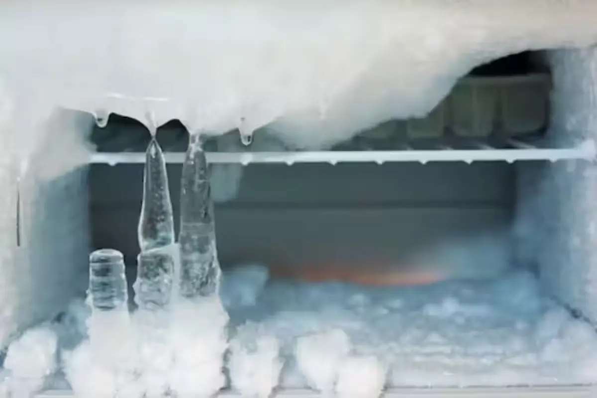 Defrost Fridge
