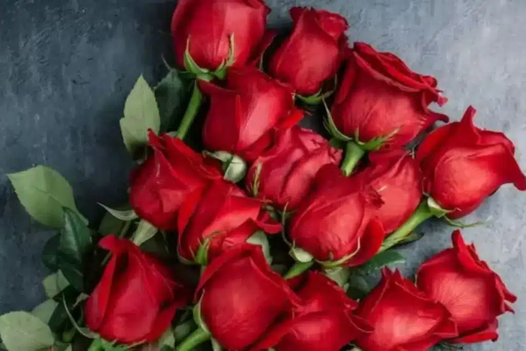 Rose Day