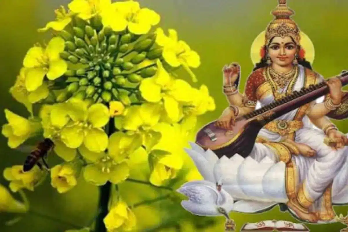 Basant Panchami 2024 Basant Panchami festival today, know how to