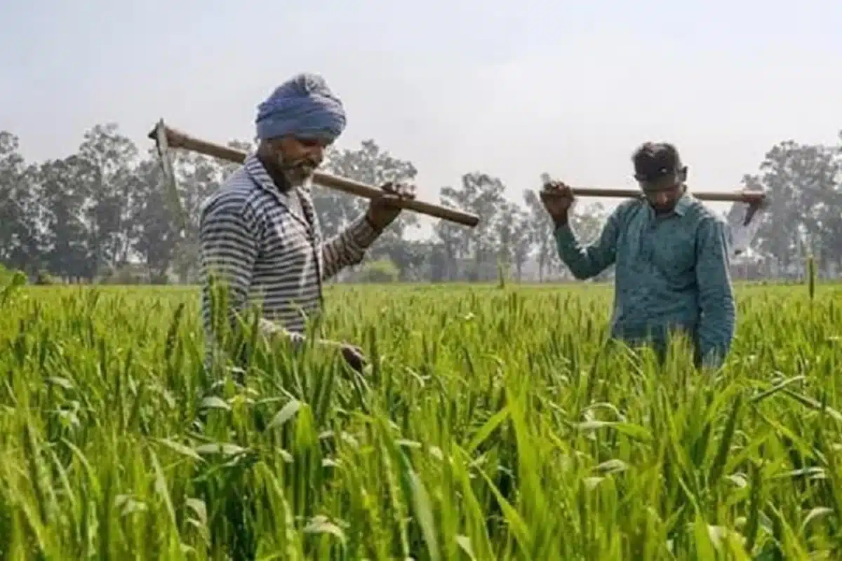 PM Kisan Samman Nidhi Yojana