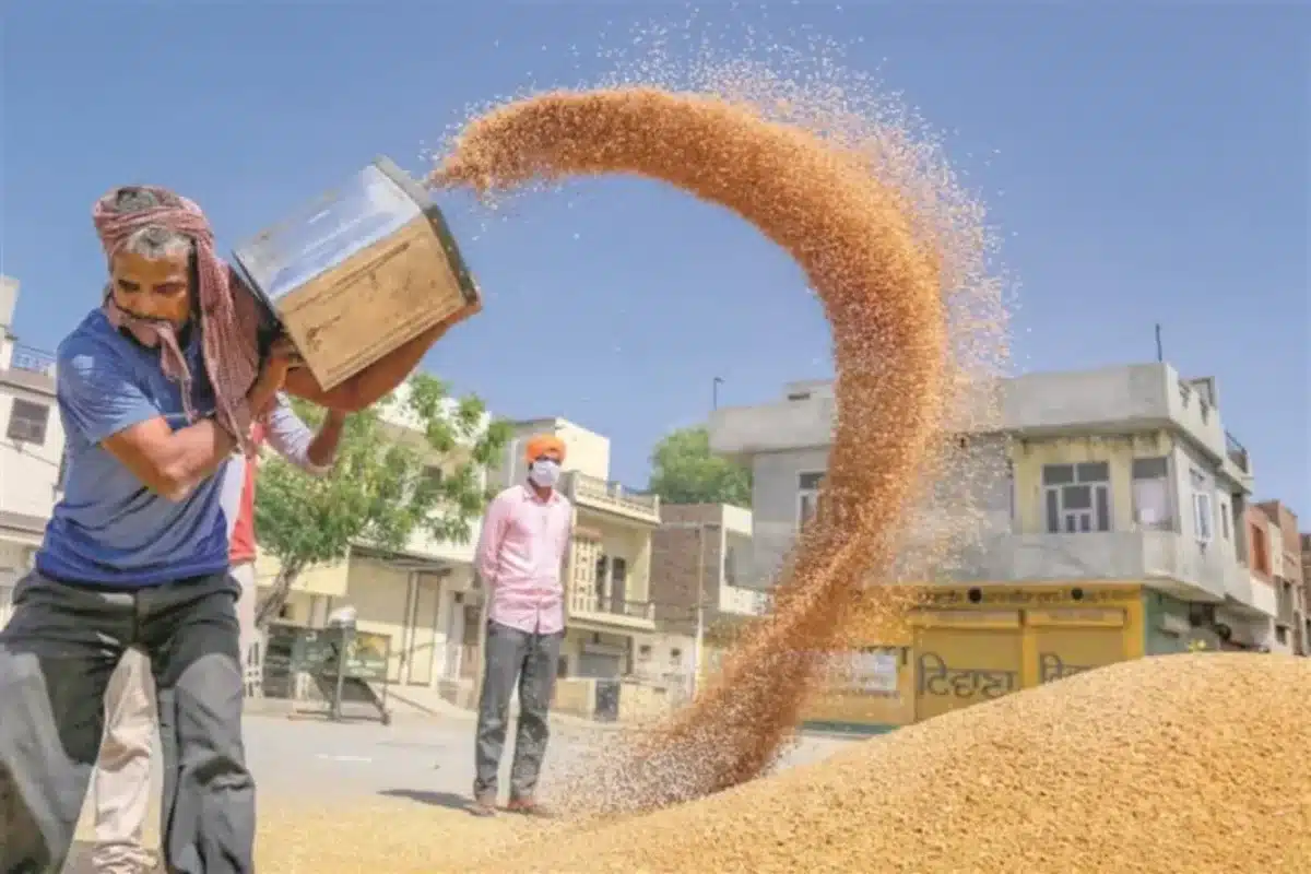 Punjab News