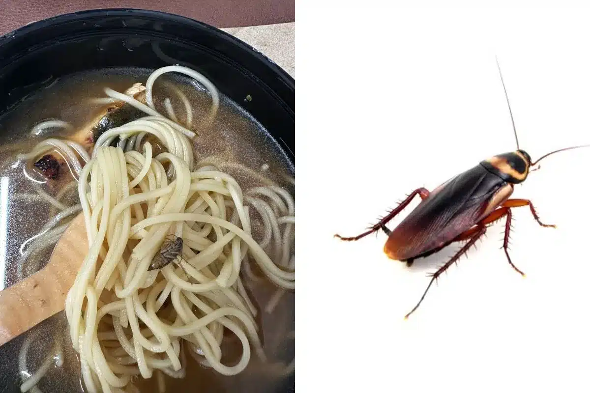 Zomato