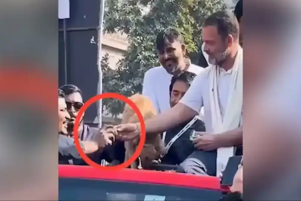 Rahul Gandhi Viral Video