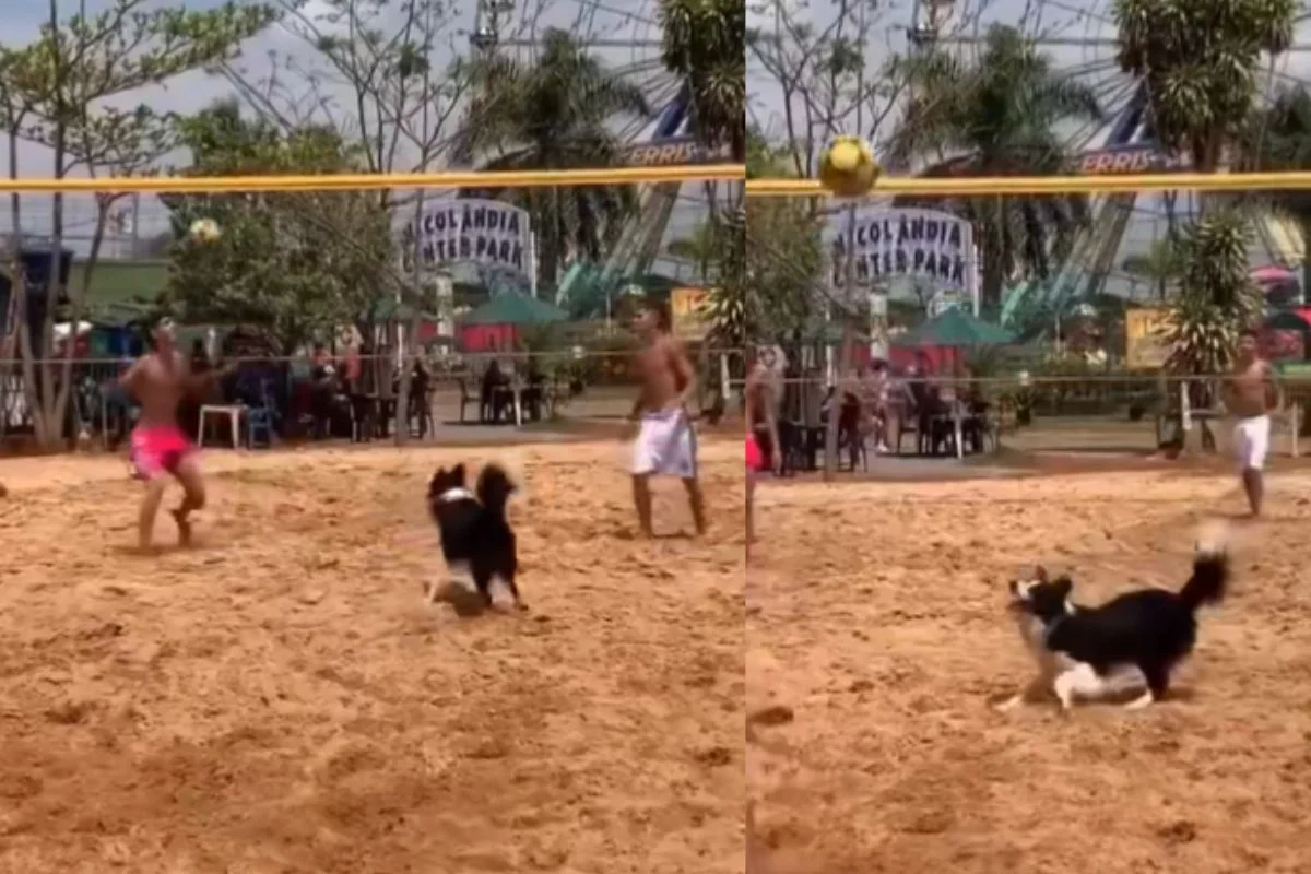 Viral Video