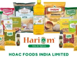 Hariom Atta & Spices Share Price