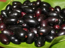 Jamun Benefits