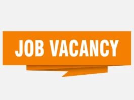 Orissa High Court Recruitment 2024
