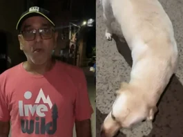 Viral Video