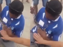 Viral Video