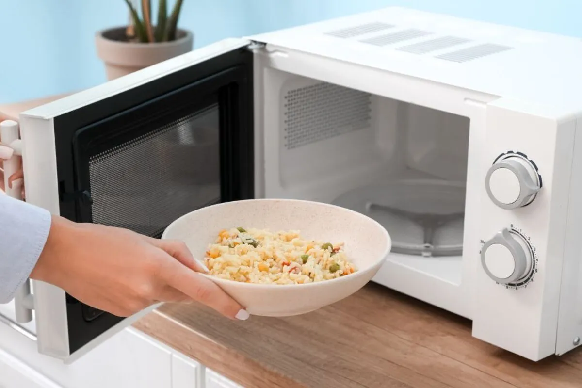 माइक्रोवेव ओवन