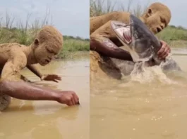 Animal Viral Video