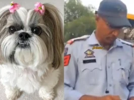 Animal Viral Video........