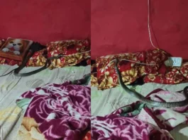 Animal Viral Video