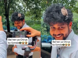 Animal Viral Video