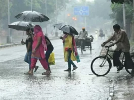 Punjab-Haryana Weather Update