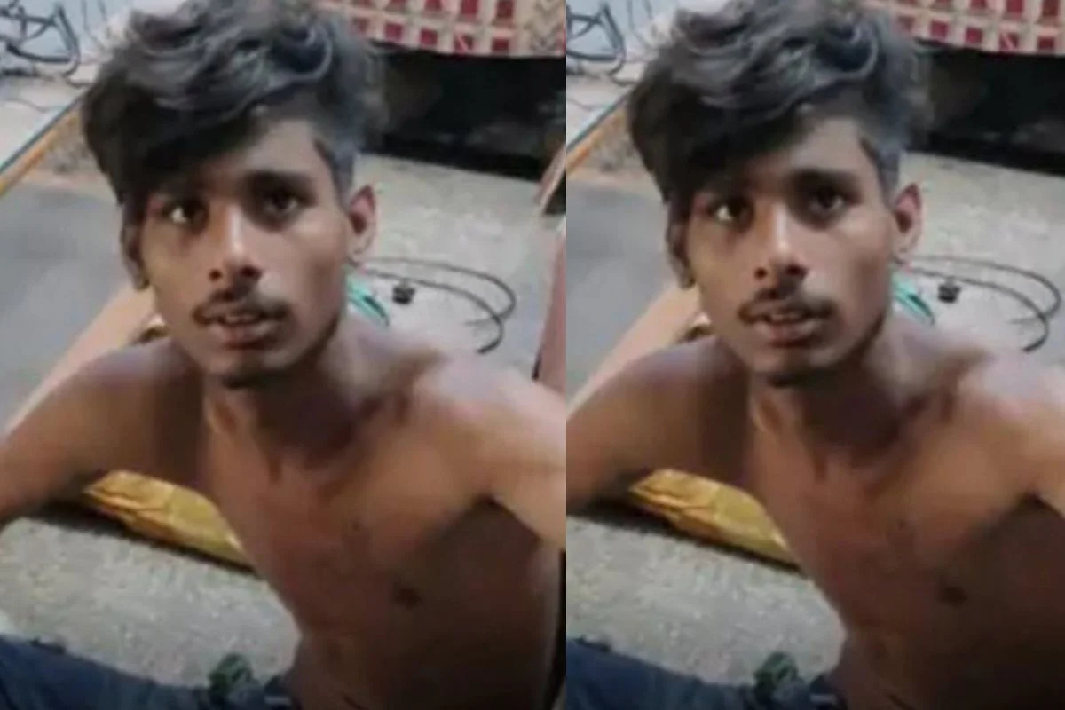 Viral News Viral News