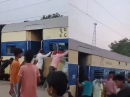 Viral Video