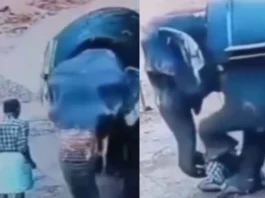 Viral Video