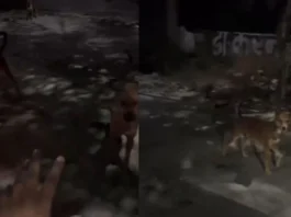 Viral Video