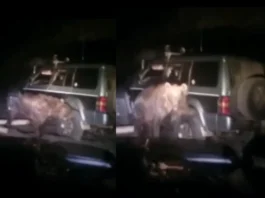 Viral Video