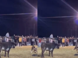 Viral Video