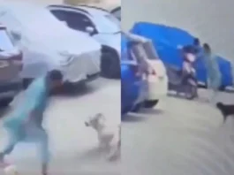 Viral Video