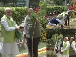 World Environment Day 2024