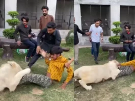 Viral Video