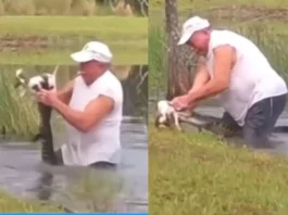 Animal Viral Video