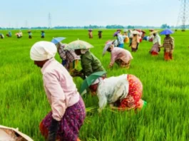 Consumer Price Index June 2024