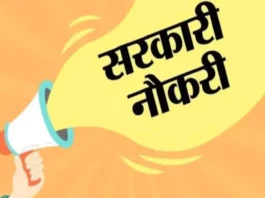 Government Job