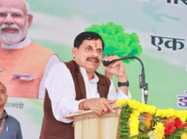 MP News