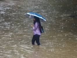 Monsoon Update