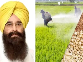 Punjab News