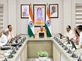 UP News