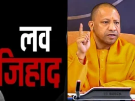 UP News