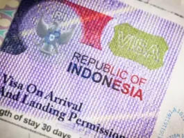 Visa News