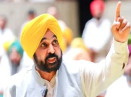 punjab news