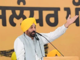punjab news