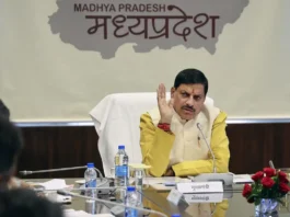 MP News
