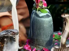 Nag Panchami 2024