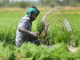 PM Fasal Bima Yojana