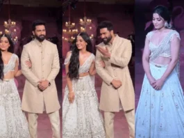 Vicky Kaushal And Rashmika Mandanna