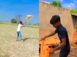 Viral Video