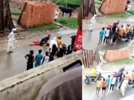 Viral Video