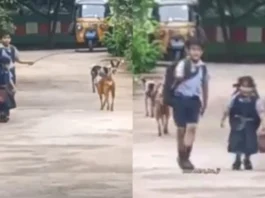 Viral video